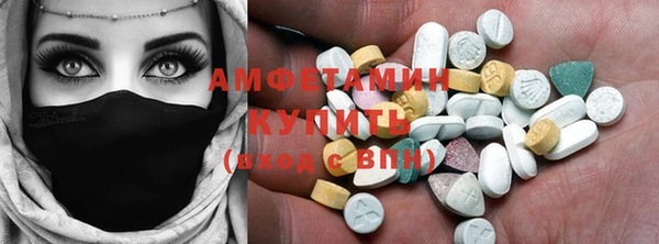 прущие грибы Алзамай