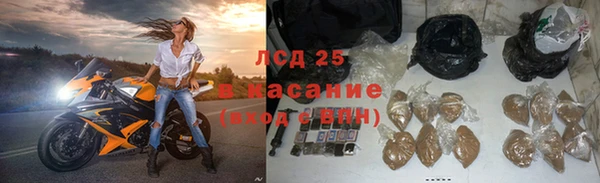 прущие грибы Алзамай