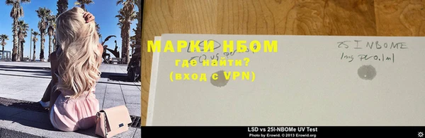 прущие грибы Алзамай