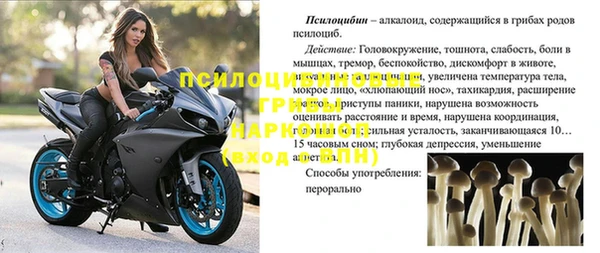 дживик Алексин