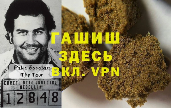 прущие грибы Алзамай
